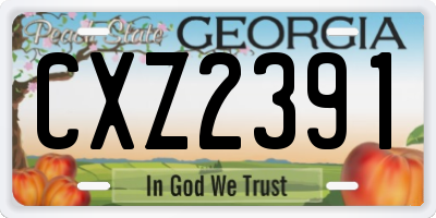 GA license plate CXZ2391