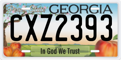 GA license plate CXZ2393