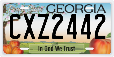 GA license plate CXZ2442