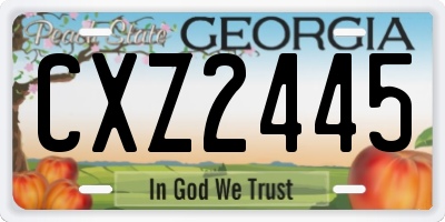 GA license plate CXZ2445