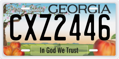 GA license plate CXZ2446