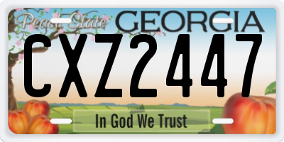 GA license plate CXZ2447