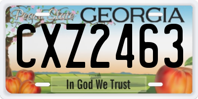GA license plate CXZ2463