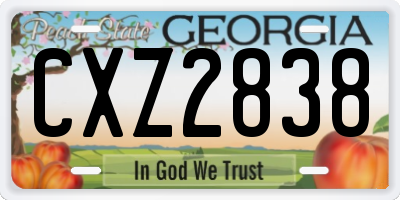 GA license plate CXZ2838