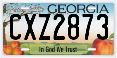 GA license plate CXZ2873