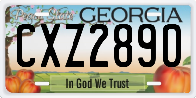 GA license plate CXZ2890