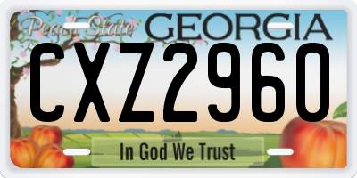GA license plate CXZ2960