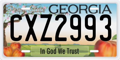 GA license plate CXZ2993