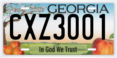 GA license plate CXZ3001