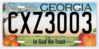 GA license plate CXZ3003