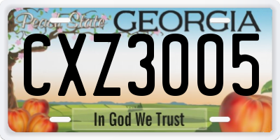 GA license plate CXZ3005