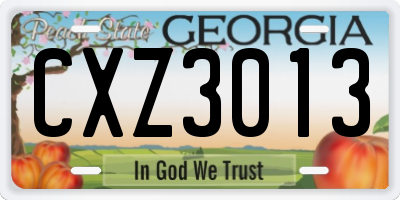 GA license plate CXZ3013