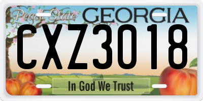GA license plate CXZ3018