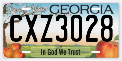 GA license plate CXZ3028