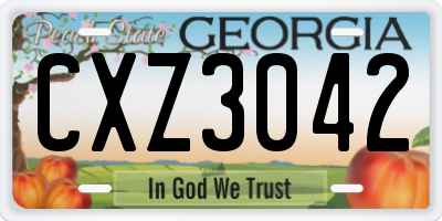 GA license plate CXZ3042