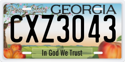 GA license plate CXZ3043
