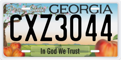 GA license plate CXZ3044