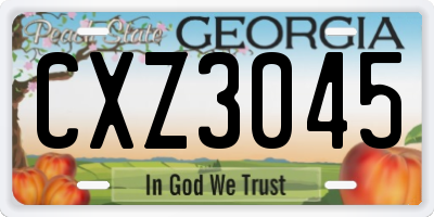 GA license plate CXZ3045