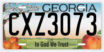 GA license plate CXZ3073