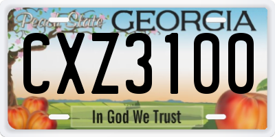 GA license plate CXZ3100