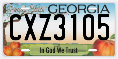 GA license plate CXZ3105