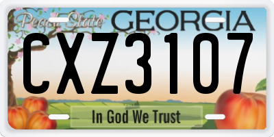 GA license plate CXZ3107