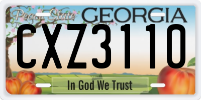 GA license plate CXZ3110