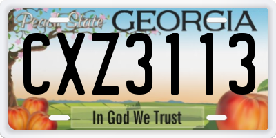 GA license plate CXZ3113