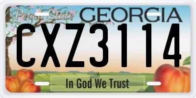 GA license plate CXZ3114
