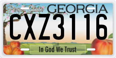 GA license plate CXZ3116