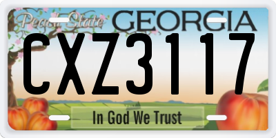 GA license plate CXZ3117