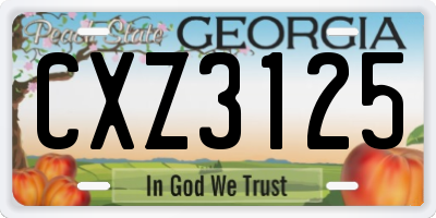 GA license plate CXZ3125