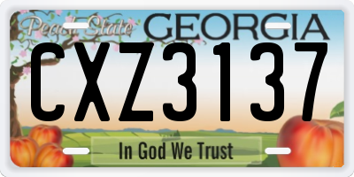 GA license plate CXZ3137