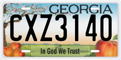 GA license plate CXZ3140