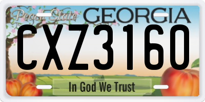 GA license plate CXZ3160