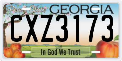 GA license plate CXZ3173