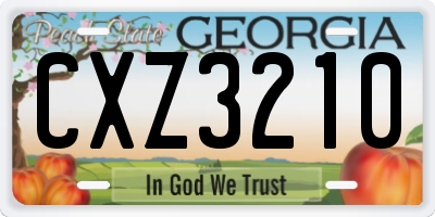 GA license plate CXZ3210