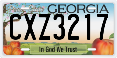 GA license plate CXZ3217