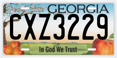 GA license plate CXZ3229