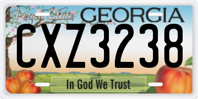 GA license plate CXZ3238