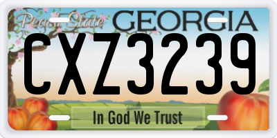 GA license plate CXZ3239