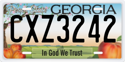 GA license plate CXZ3242