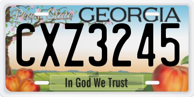 GA license plate CXZ3245