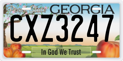 GA license plate CXZ3247