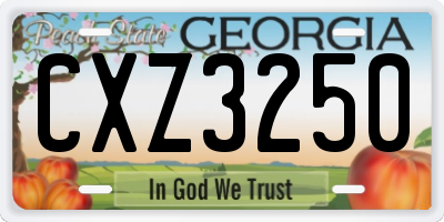 GA license plate CXZ3250