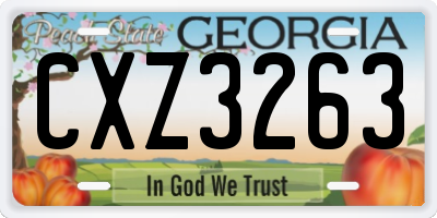 GA license plate CXZ3263