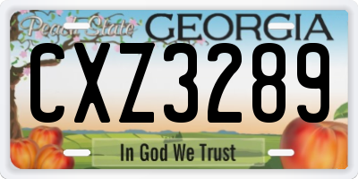 GA license plate CXZ3289