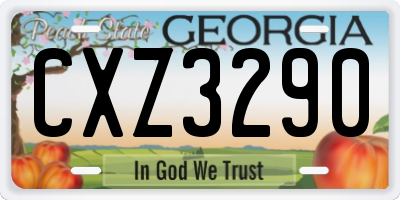 GA license plate CXZ3290