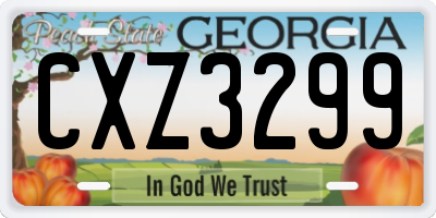 GA license plate CXZ3299