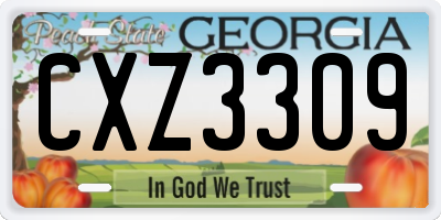 GA license plate CXZ3309